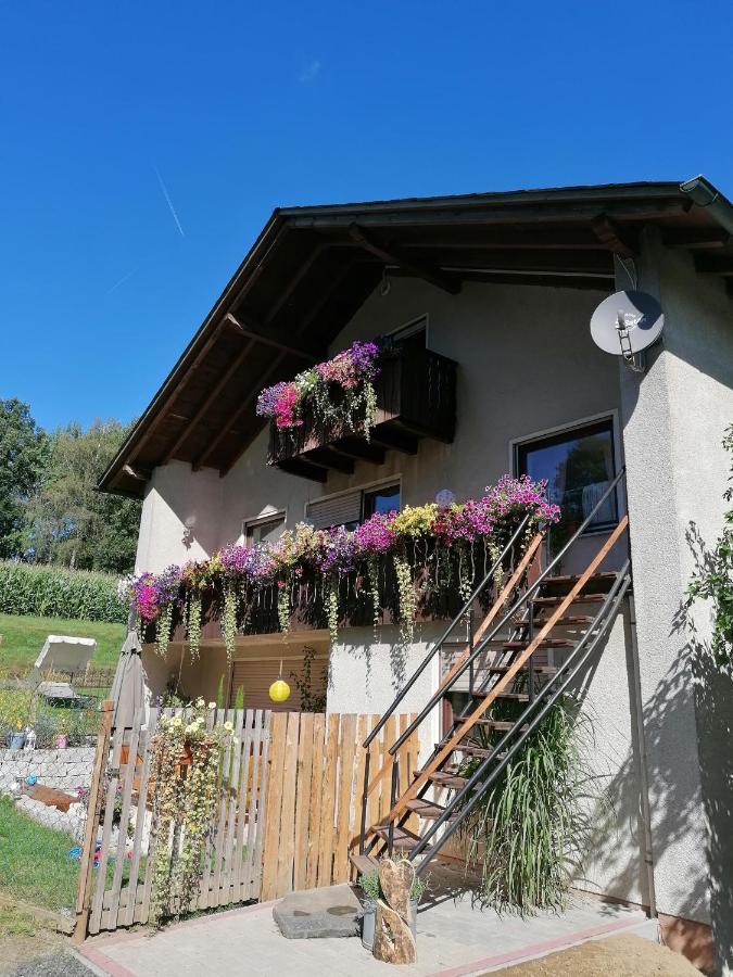 Ferienwohnung Egelkraut Schwarzenbach an der Saale Екстериор снимка